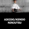 AIKIDO / KENDO / IAIDO / KOBUDO / NINJITSU