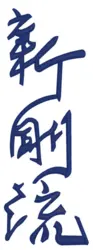 Shin-Go-Ryu kanji brodering på gi