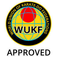 Beskyttelseshjelm WKF med visir - WKF-godkendt til U14