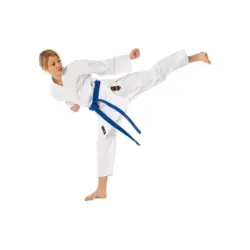TOKAIDO NISSAKA Karate gi (logofri) - 10 oz.