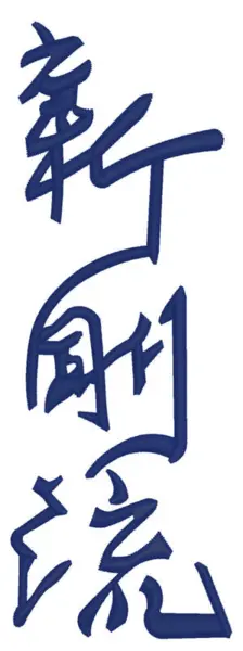 Shin-Go-Ryu kanji brodering på gi