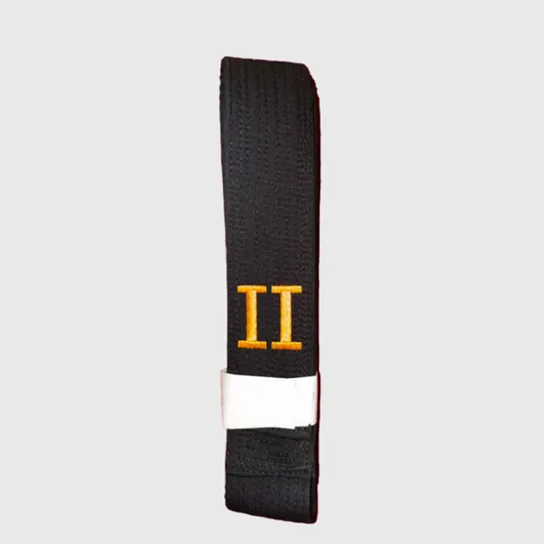 Grads brodering på Taekwondo bælte (Romertal)