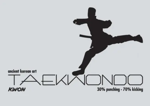 Taekwondo tryk til tøj