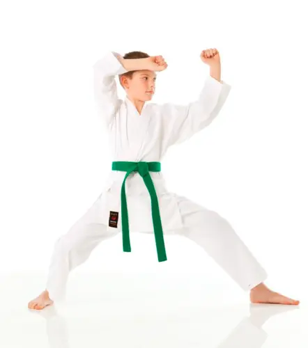 TOKAIDO SHOSHIN Karate gi (logofri) - 8 oz.