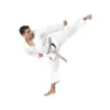 TOKAIDO ULTIMATE "SAW" Karate gi - MADE in JAPAN (logofri) - 12 oz.
