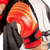 CENTURY Point Fighting Gloves "C-GEAR Integrity" - WAKO - Rød - Blå