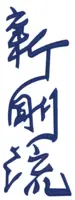 Shin-Go-Ryu kanji brodering på gi