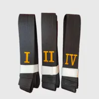 Grads brodering på Taekwondo bælte (Romertal)